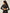 Core Everyday Bolero - Black