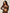Core Everyday Sports Bra