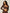 Core Everyday Sports Bra - Coffee Bean