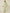 Be the Ace Wide-Leg Pants - Matcha