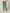 Be Defined Sweatpants - Varsity Green